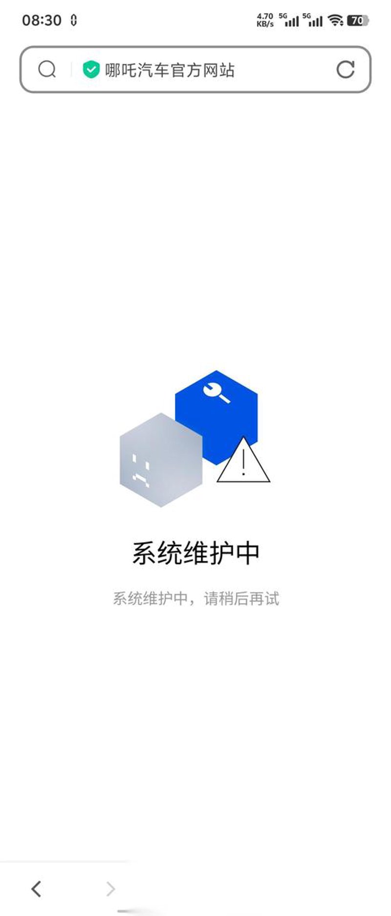 电商平台开发